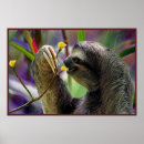 Sök efter sloths posters För alla