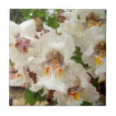 Sök efter indisk kakelplattor Belägga med tegel