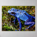 Sök efter darter posters Fotografi