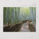 Sök efter bambu vykort Kyoto