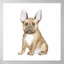 Sök efter hundvalp konst Fransk bulldog