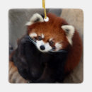 Sök efter röd panda julgransprydnader För alla