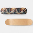 Sök efter hund skateboards För honom