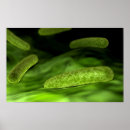 Sök efter molekylär posters 3d