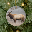 Sök efter elk julgransprydnader Hjort