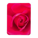 Sök efter romantic magneter Blomma