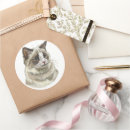 Sök efter ragdoll klistermärken Djur