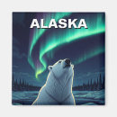 Sök efter polar björn för isberg Norra ljus