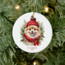 Sök efter pomeranian julgransprydnader Hundar