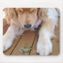 Sök efter roliga grodor musmattor Roligt