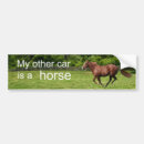 Sök efter häst bildekaler Equine