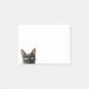 Sök efter katten noterar Gulligt