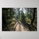 Sök efter djur spårar posters Skog