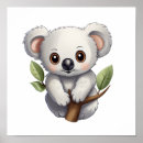 Sök efter koala posters Djur