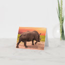 Sök efter rhinos fotografi Natur