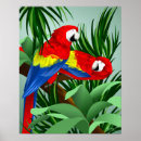Sök efter macaws posters Djur