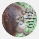 Sök efter rainforest klistermärken Djur