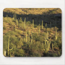 Sök efter arizona usa musmattor Naturskön