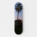 Sök efter handflatan skateboards Florida