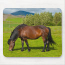 Sök efter häst musmattor Ranch