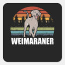 Sök efter weimaraners Weimaraner älskare
