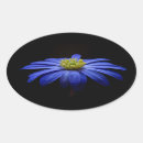 Sök efter flower ovala klistermärken Blomma