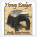 Sök efter honey badger Jägare