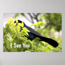 Sök efter skägg fotografi Natur