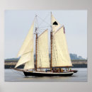 Sök efter livets träd konst Fotografi