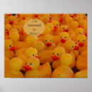 Sök efter ducky posters Djur