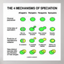 Sök efter evolution posters Biologi
