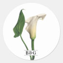 Sök efter calla klistermärken Botanisk