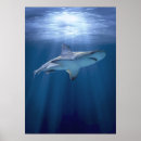 Sök efter rovdjur posters Natur