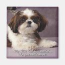 Sök efter gullig shih tzu hem presenter Gulligt