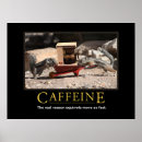 Sök efter roliga ekorrar posters Kaffe