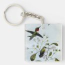 Sök efter throated Hummingbirds