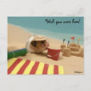 Sök efter hamster vykort Sällskapsdjur