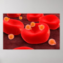 Sök efter röd blodcell Thrombocyte