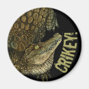 Sök efter krokodiler magneter För alla