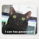 Sök efter spöklikt elektronik Katt