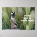 Sök efter möte fotografi Natur