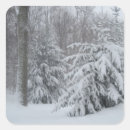 Sök efter new england klistermärken Vinter