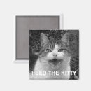 Sök efter kattfoto magneter Konstig