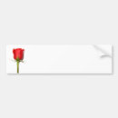Sök efter röd ros bildekaler Blommigt