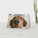 Sök efter rolig hund födelsedagskort Lustigt