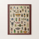 Sök efter samling pussel För alla