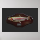 Sök efter plaques alla posters För alla