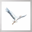 Sök efter stork posters Vit
