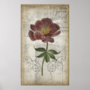 Sök efter svep posters Blommor