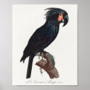 Sök efter drawing posters Bird